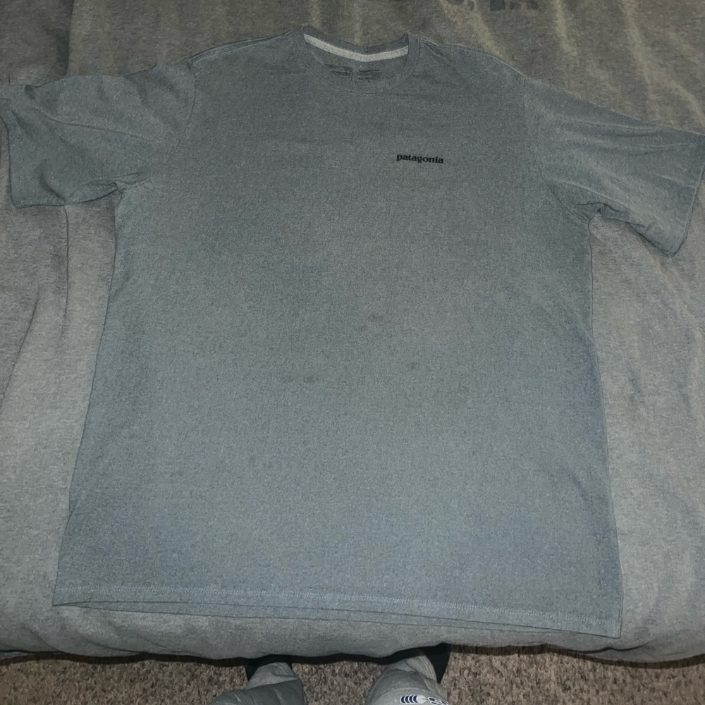 Patagonia P-6 Tshirt